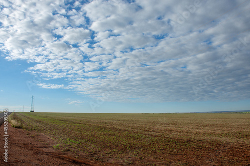 farm with land ready to plant