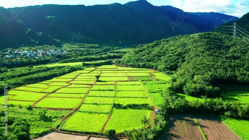 
Aerial view of green grass and farmlands in Pingtung, Taiwan. photo