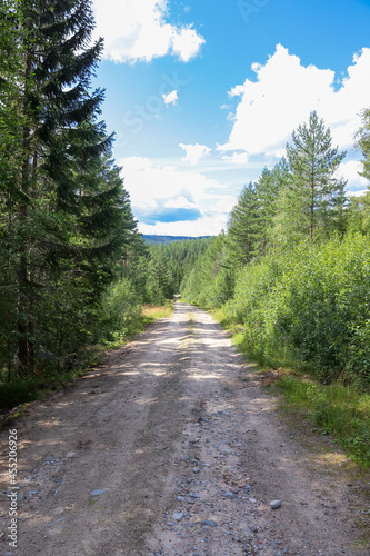 Gravel road in the forest is a part of Kramstaleden (Kramsta Trail) in Järvsö