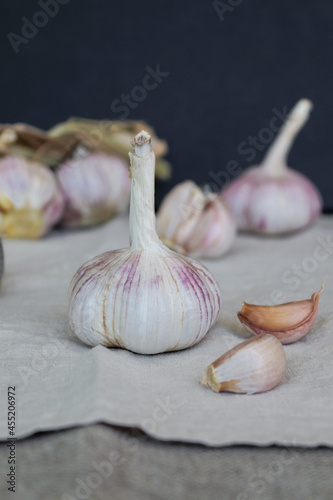 Garlic bulb and garlic cloves on textile background