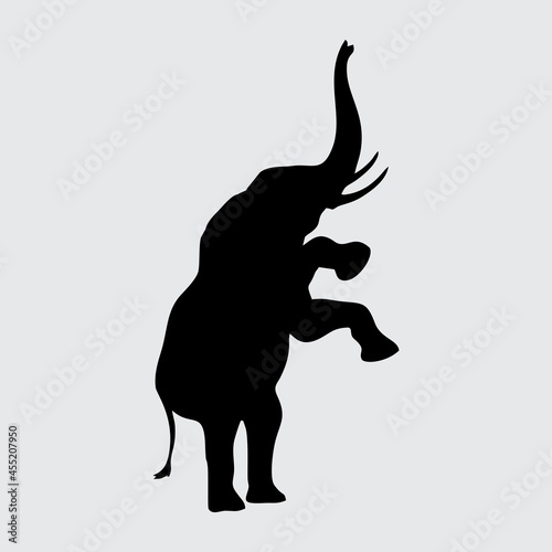 Elephant Silhouette, Elephant Isolated On White Background