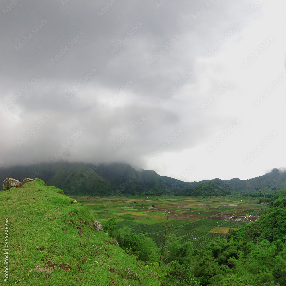 Fototapeta premium Beautiful rice field scene, on Ubud Bali Indonesia