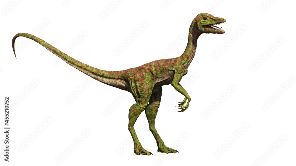 Compsognathus longipes from the Late Jurassic period, isolated on white background Compsognathus longipes from the Late Jurassic period, isolated on white background