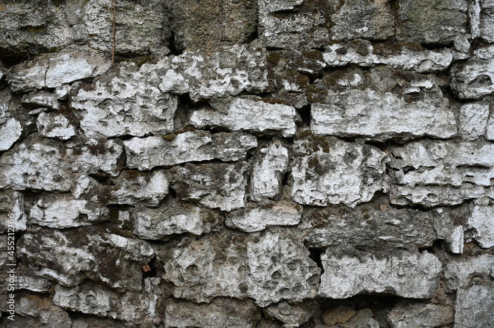 texture texture