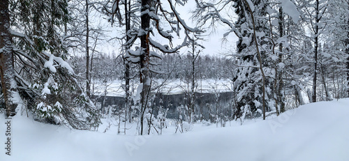 Panorama of an ice-covered river among a frozen taiga forest in a harsh winter © Savour_of_day