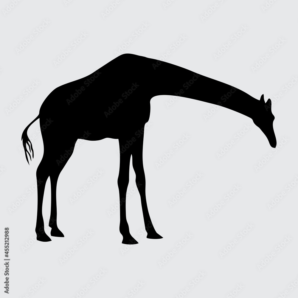 Giraffe Silhouette, Giraffe Isolated On White Background Giraffe Silhouette, Giraffe Isolated On White Background