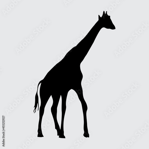 Giraffe Silhouette, Giraffe Isolated On White Background