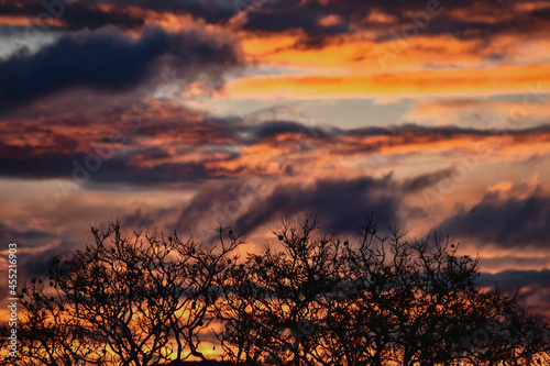 Urban Sunset