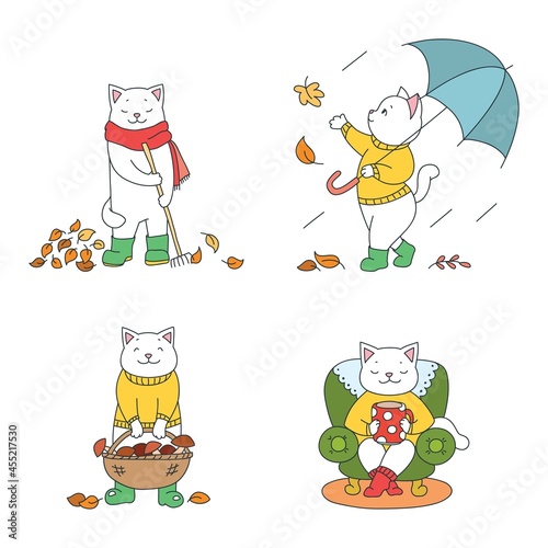 Collection of cute kittens enjoying fall season. Autumn illustrations of funny white cats walking with umbrella  drinking hot beverage  picking mushrooms and raking leaves. 