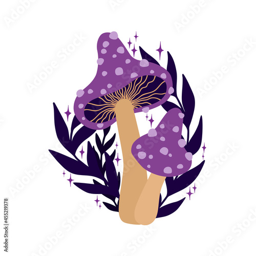 Purple mushrooms and dark leaves with stars on white background. Magic witchcraft hand drawnn illustration. Vector art photo