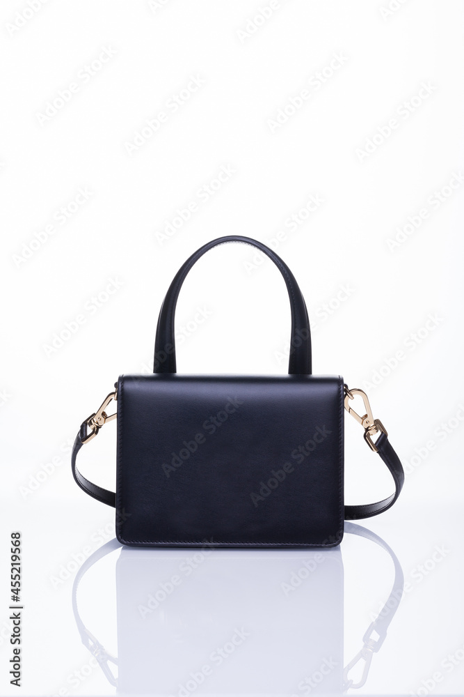 Handbags isolate with white background. Fancy female bag. Handbags isolate with white background. Fancy female bag.