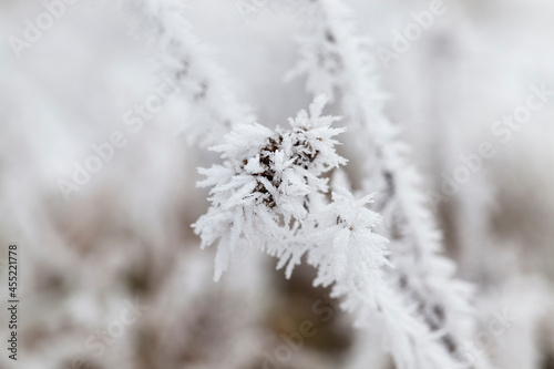 grass covered with frost and snow in winter