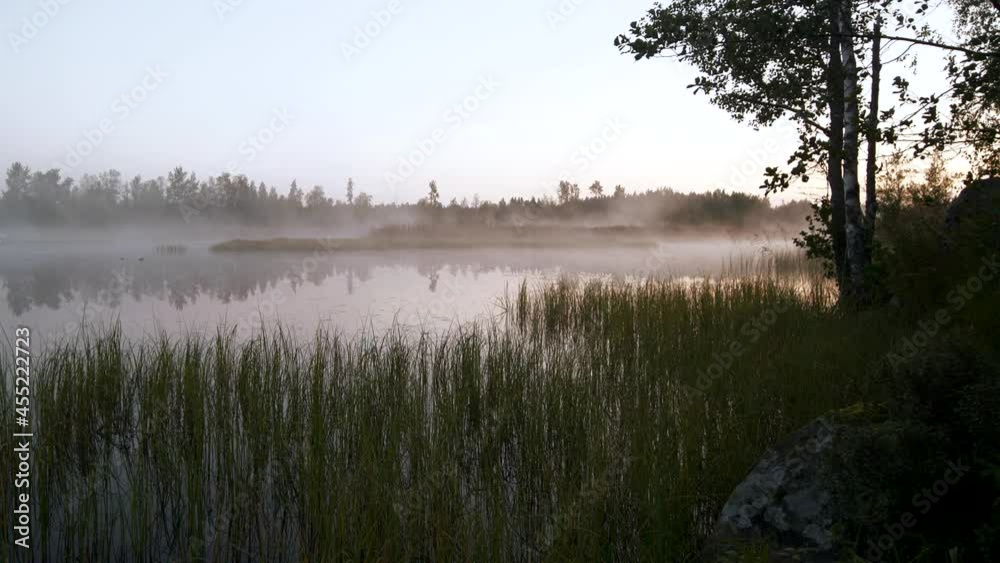 Cinematic scenery, drifting haze over wetland swamp on Cold winter morning Cinematic scenery, drifting haze over wetland swamp on Cold winter morning