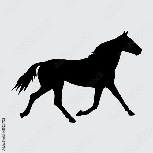 Horse Silhouette, Horse Isolated On White Background