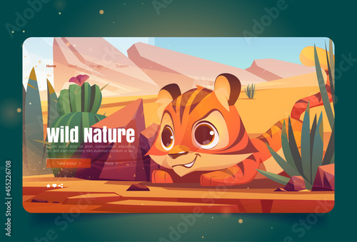 Wild nature banner with tiger sneaks in desert. Vector landing page with cartoon illustration of sand desert with cactuses, stones and cute tiger. Predator hides and hunts in savanna