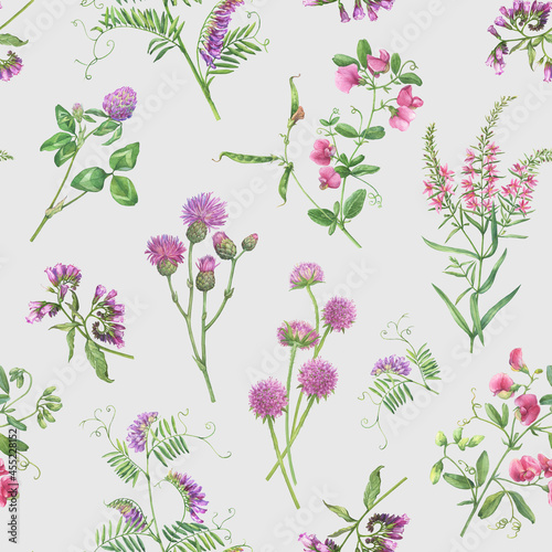 Seamless floral pattern with clover, mouse pea, comfrey, vetch, thistle, scabiosa flowers. Pink wildflower wallpaper. Botanical meadow summer textile pattern. Watercolor illustration isolated on gray