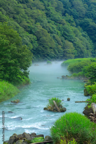 river in the forest