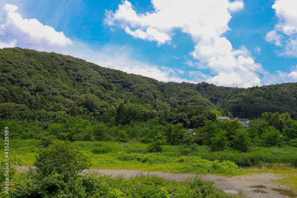 landscape with sky