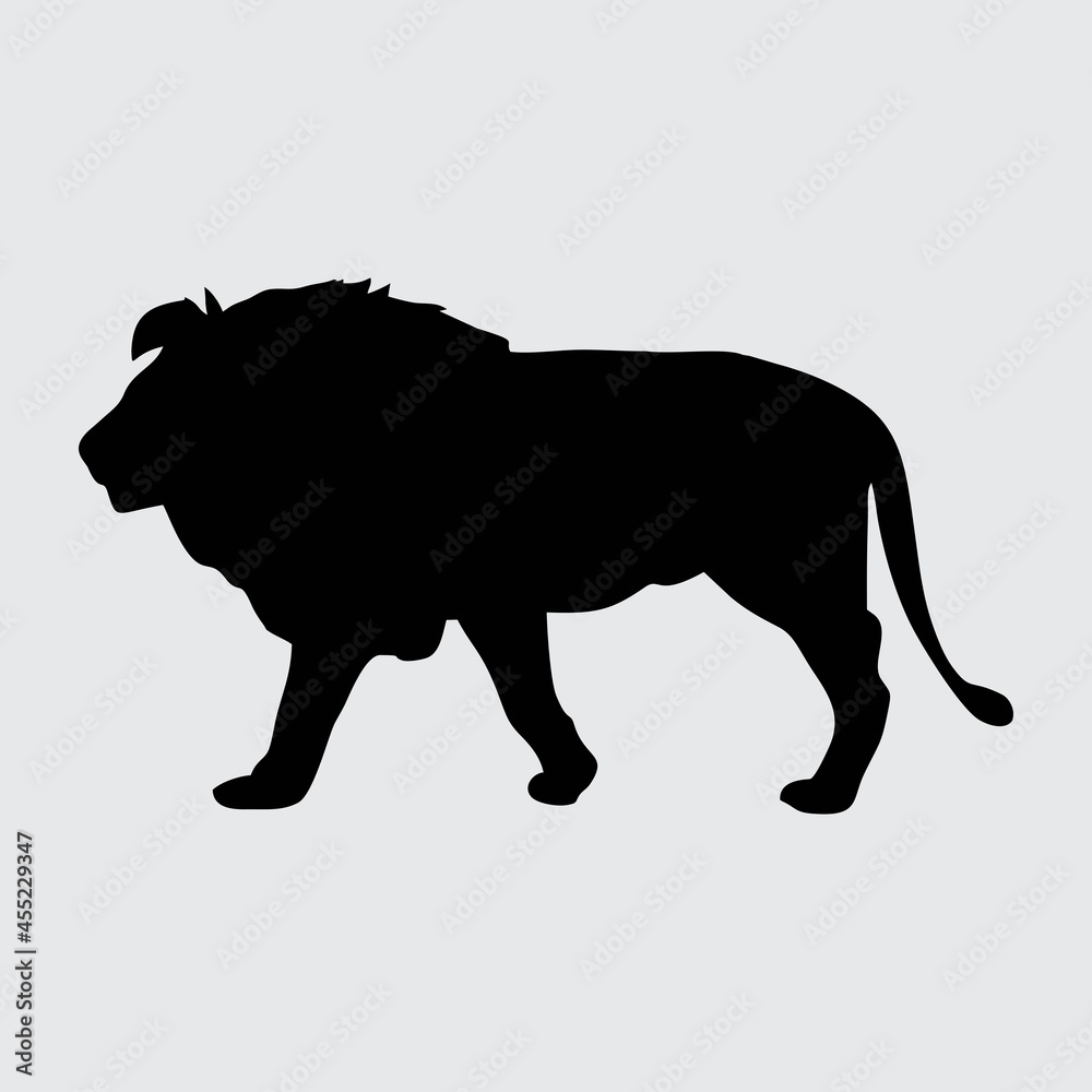 Lion Silhouette, Lion Isolated On White Background