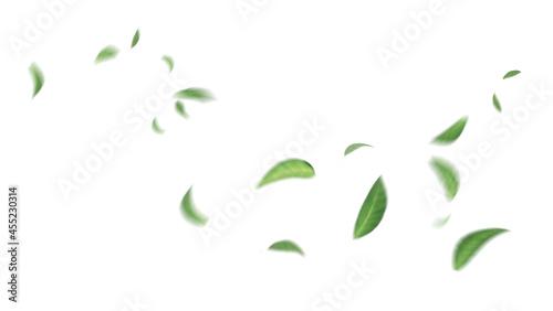 Green Floating Leaves Flying Leaves Green Leaf Dancing, Air Purifier Atmosphere Simple Main Picture © escapejaja