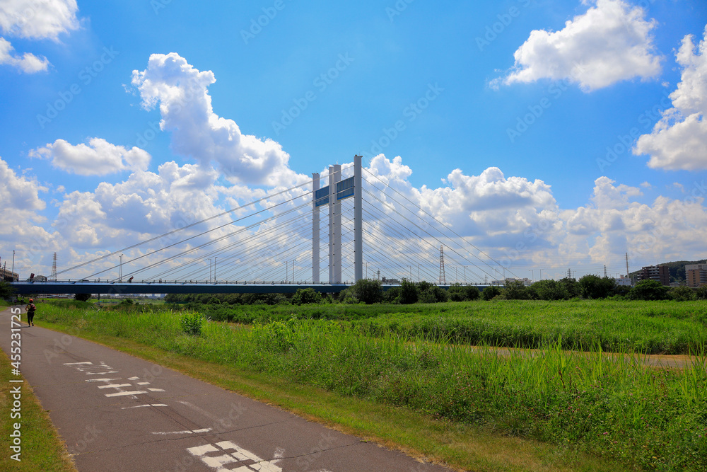lines in the countryside