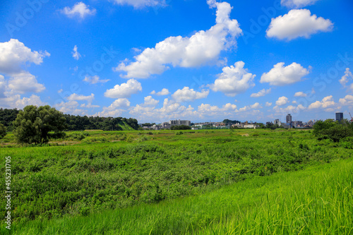 rice field © 典成 遠山