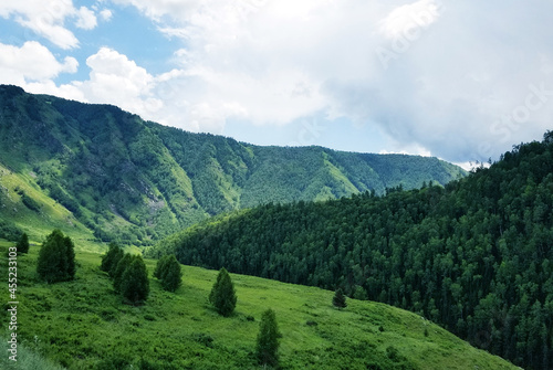 landscape with trees and clouds