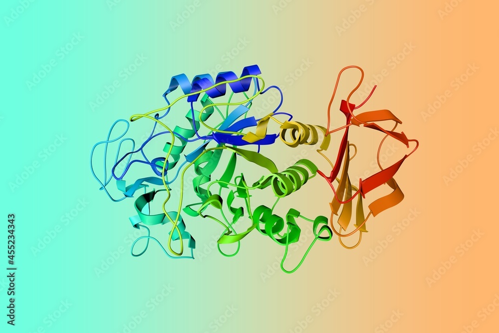 Crystal structure of human salivary amylase, an important enzyme found