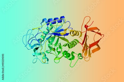 Crystal structure of human salivary amylase, an important enzyme found in the oral cavity. Ribbons diagram in rainbow colors from N to C. 3d illustration