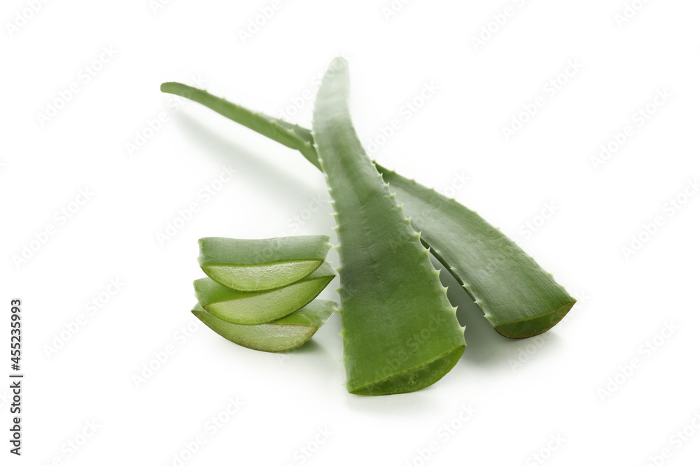 Aloe vera slices and leaves isolated on white background