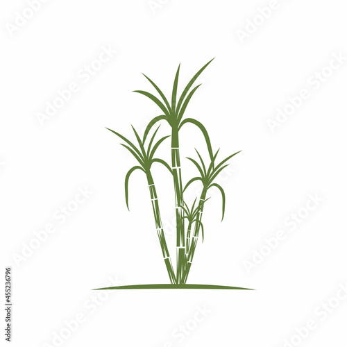 Sugar cane Logo Template vector symbol nature