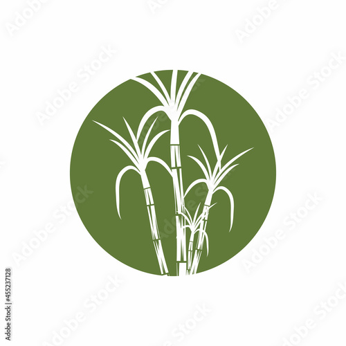 Sugar cane Logo Template vector symbol nature
