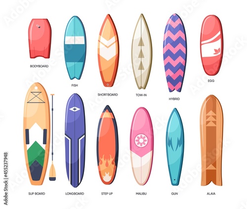 Different types of water boards set. Long and short surfboards and summer planks of various design, shapes, sizes and forms. Funboards collection. Flat vector illustration isolated on white background