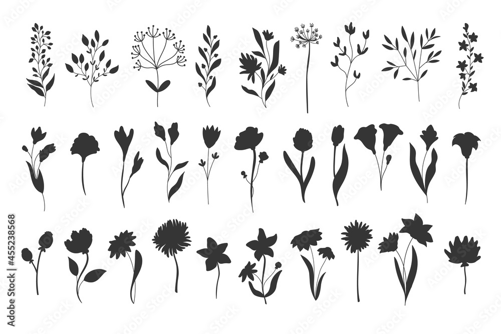 Silhouettes floral elements. Monochrome glyph foliage natural leaves herbs. Set flower botanical vector illustration.