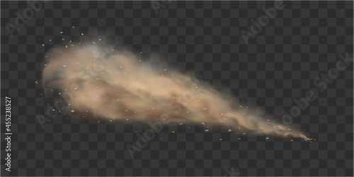 A brown dusty cloud with flying small escaping from under the wheels of a moving car. Vector illustration isolated on transparent background.