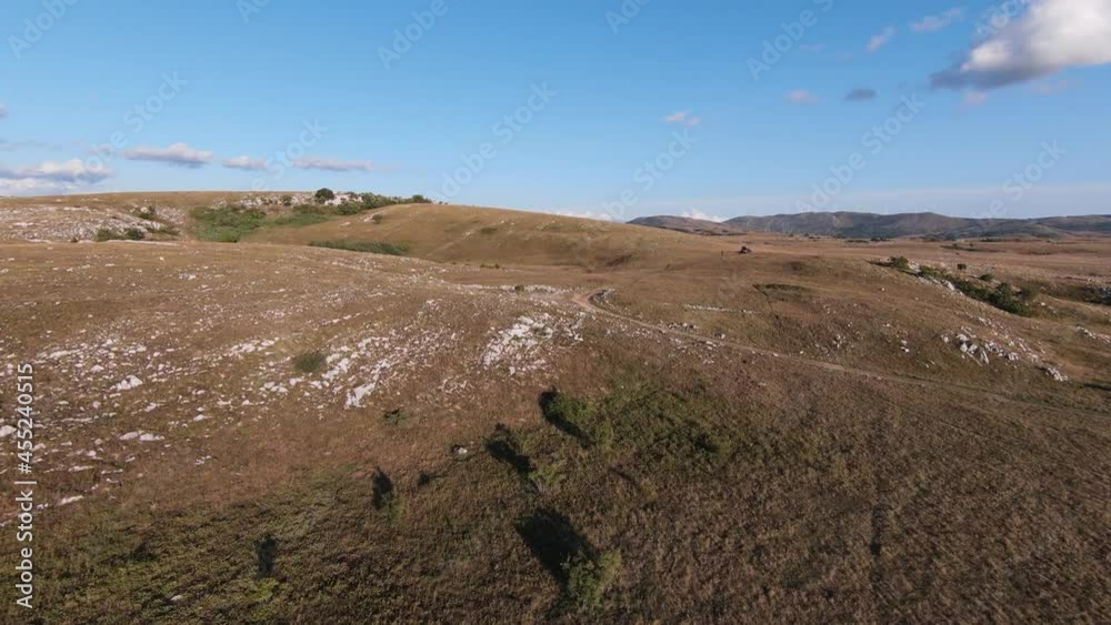 Aerial FPV drone shot of a chasing and flying close around herd of wild horses running on a field at beautiful summer sunset. Aerial FPV drone shot of a chasing and flying close around herd of wild horses running on a field at beautiful summer sunset.