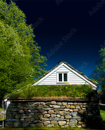 Photography Maison traditionnelle scandinave à toit végétal à Oslo, Norvège
