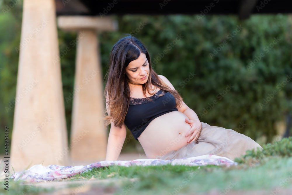 Pregnant woman reclining on a blanket on the grass in a park Pregnant woman reclining on a blanket on the grass in a park