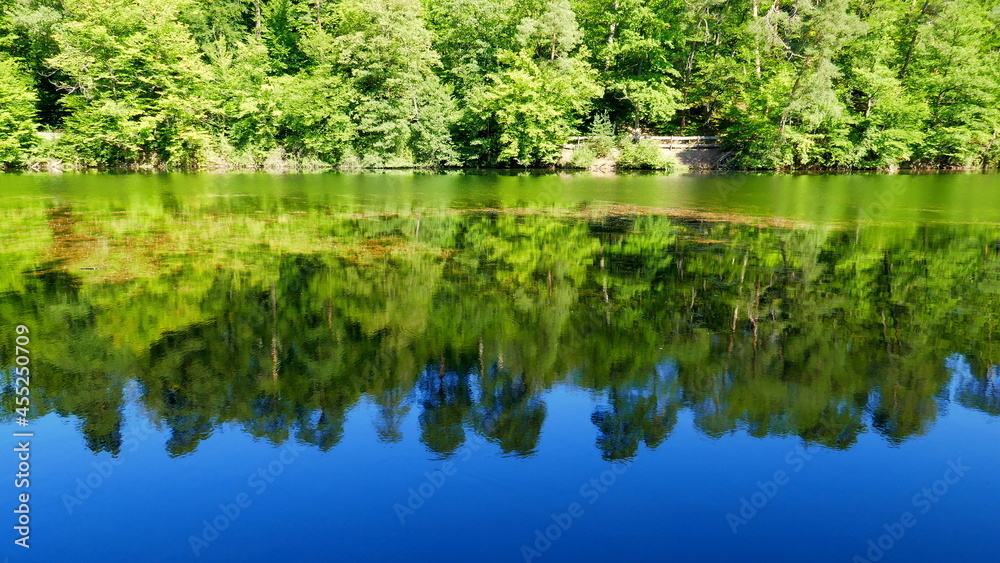 malerischer Bärensee bei Stuttgart umgeben von Laubwald und Kiefern, die sich im Wasser spiegeln malerischer Bärensee bei Stuttgart umgeben von Laubwald und Kiefern, die sich im Wasser spiegeln