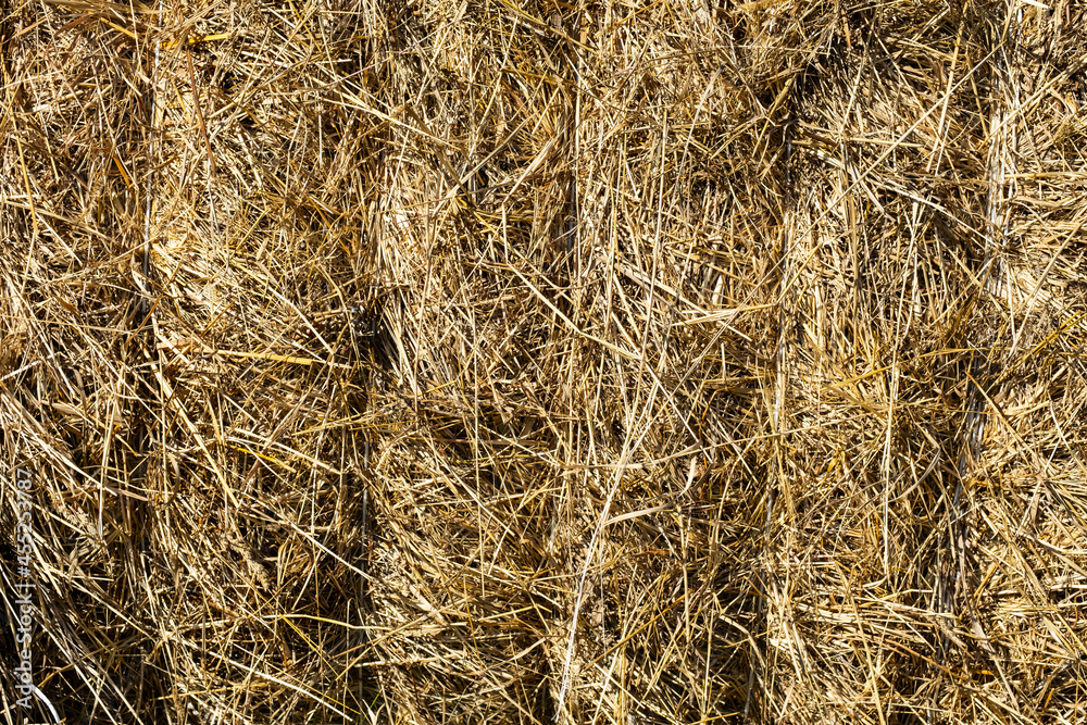 Straw bale, close up. Hay texture background. Straw bale, close up. Hay texture background.