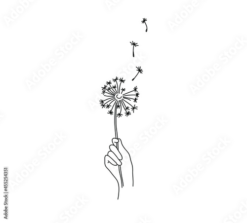 Vector isolated simple minimal dandelion in the hand drawing. Blowball in the hand contour outline sketch.  © MariMuz