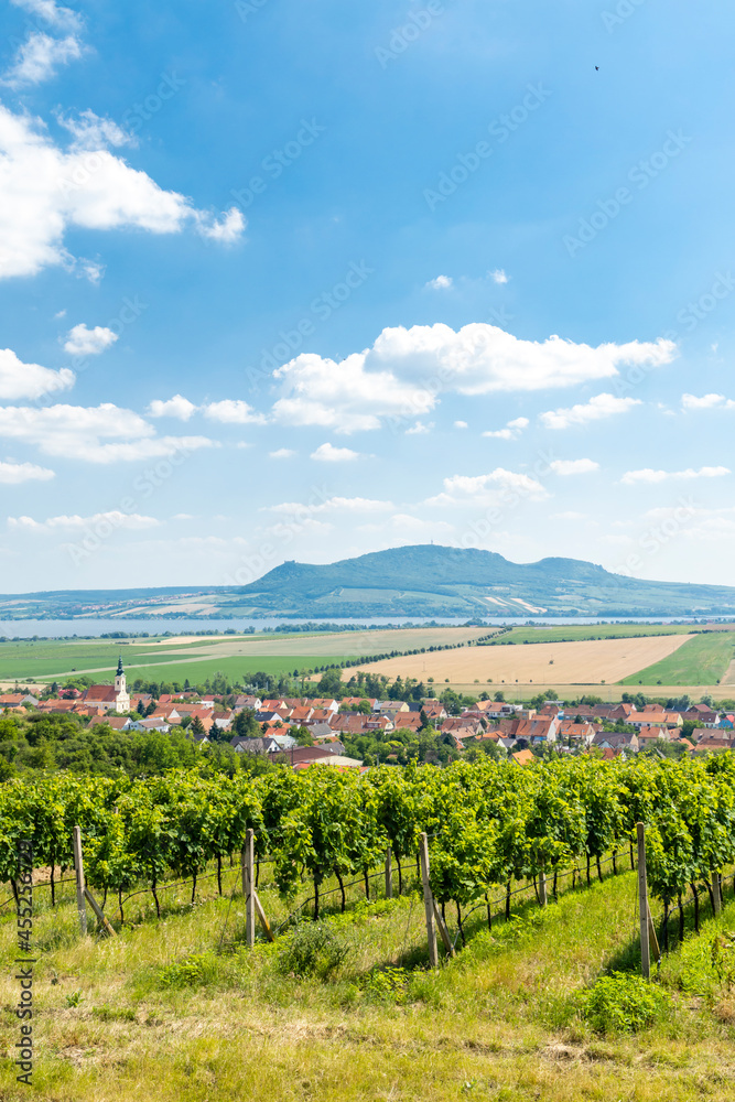 Palava with vineyards near Popice,South Moravia, Czech Republic