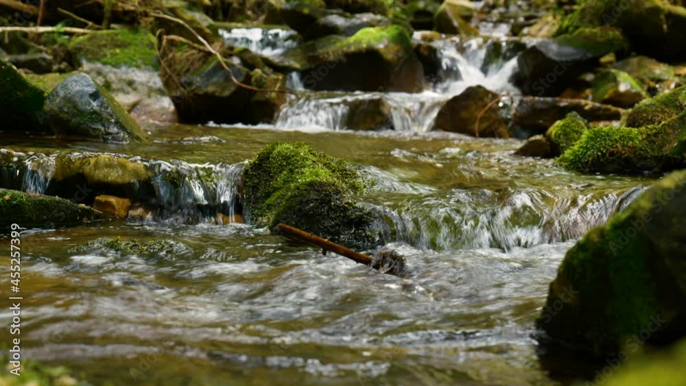 Mountain stream with crystal clear water in the forest Mountain stream with crystal clear water in the forest