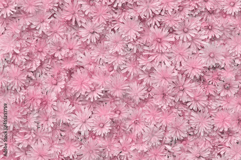 The delicate pink color flowers pattern. Beautiful nature summer background.