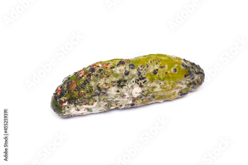 Cucumber with mold. Rotten cucumber isolated on white background close up.