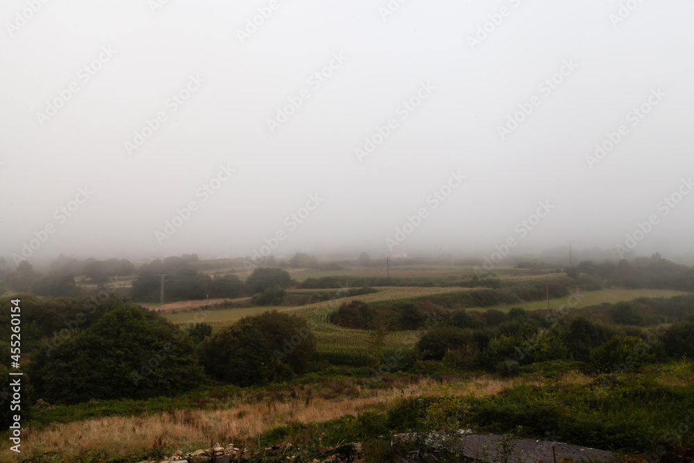Obraz premium Thick fog falling over San Martiño de Ozon countryside. Landscapes of Galicia with cloudy weather.