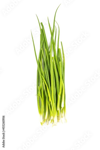 On a white background in the center is a fresh green onion