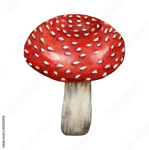 Watercolor dangerous poisonous mushrooms red Amanita muscaria wild fungus fungi from autumn fall forest woodland natural season perfect for halloween design textile wrapping paper