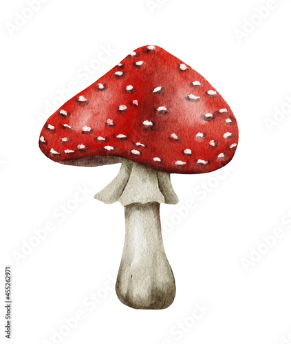 Watercolor dangerous poisonous mushrooms red Amanita muscaria wild fungus fungi from autumn fall forest woodland natural season perfect for halloween design textile wrapping paper