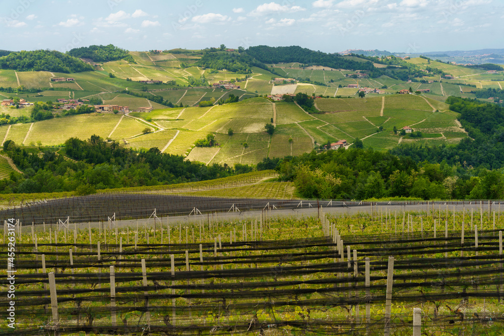 Fototapeta premium Landscape of Langhe, Piedmont, Italy near Dogliani at May